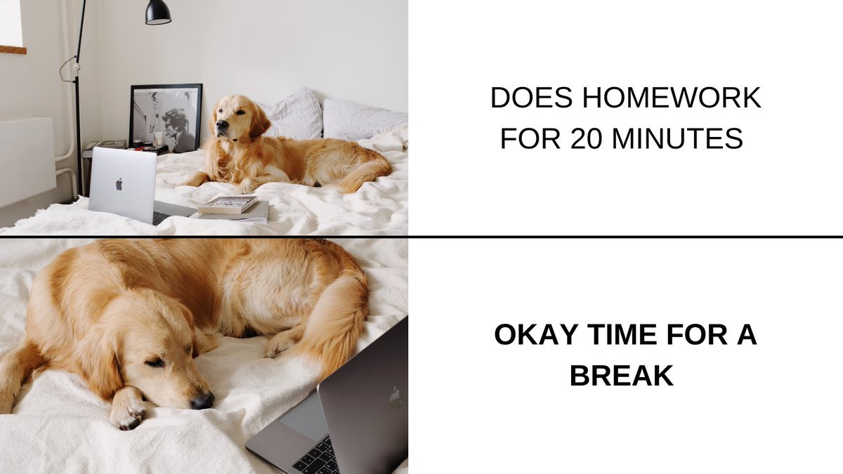 socialmedi16561's tweet photo. We all need a break, right?
#MCO335 #mymeme #workinghardorhardlyworking https://t.co/jWQkGOmDld