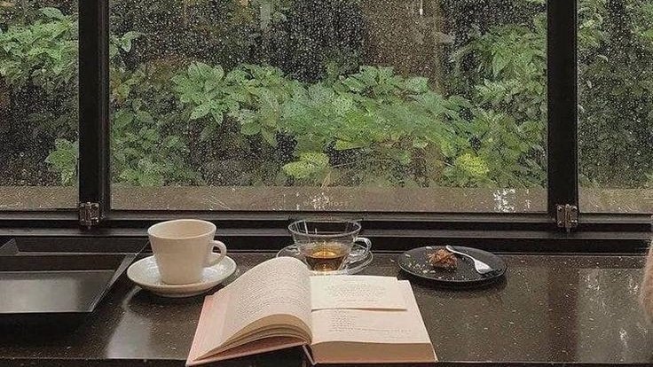 shewearprada's tweet photo. Days like this. ☕⛈🌿 https://t.co/BjBraFtoAK
