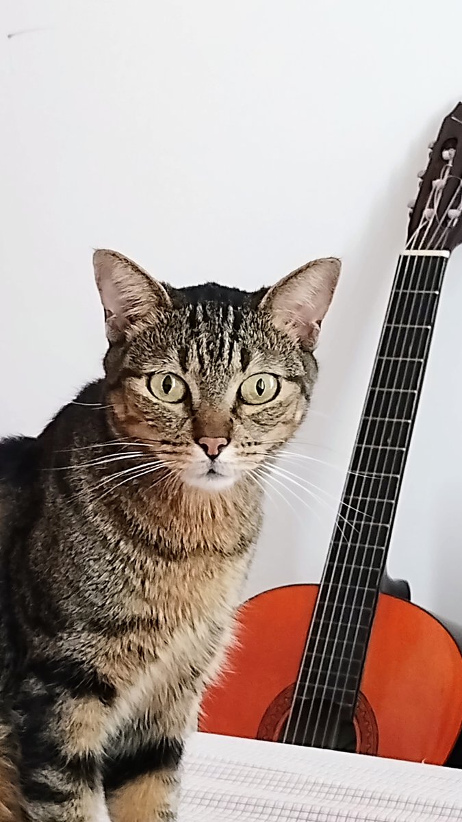 Emiliano Loiacono tweet media