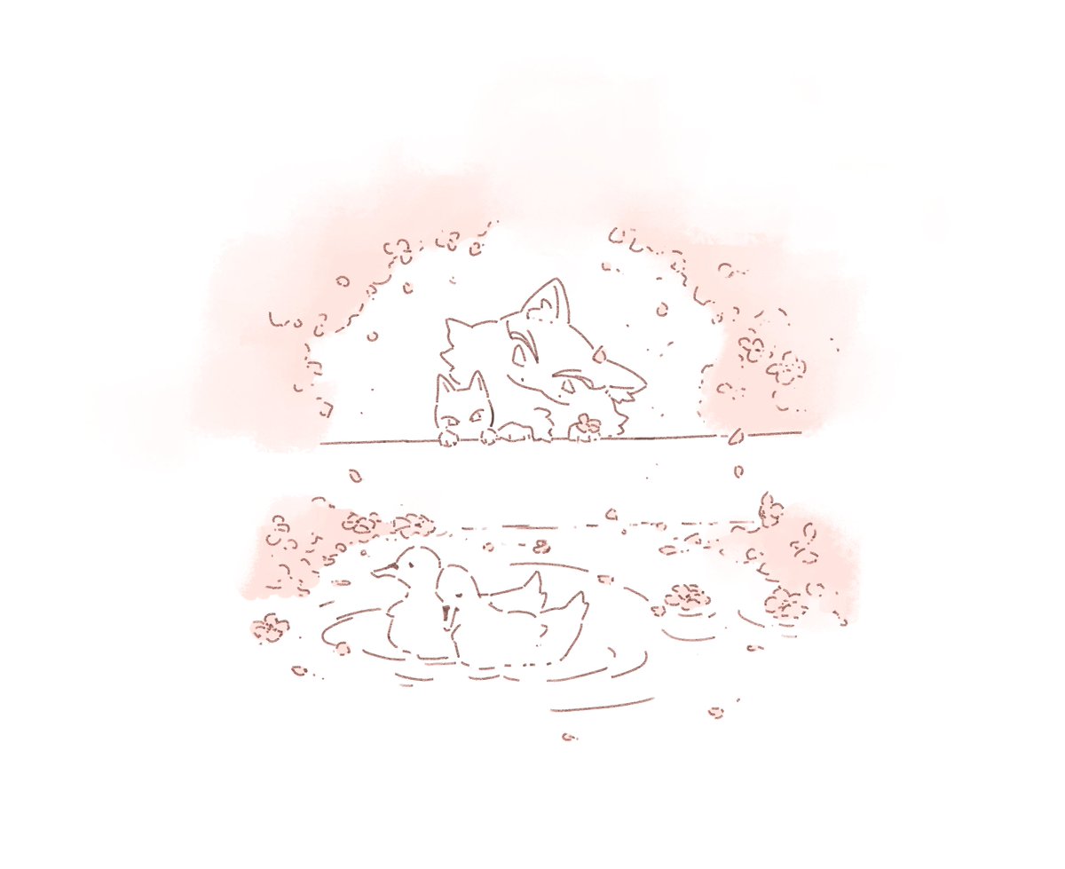 🌸 #준잇 #junhao