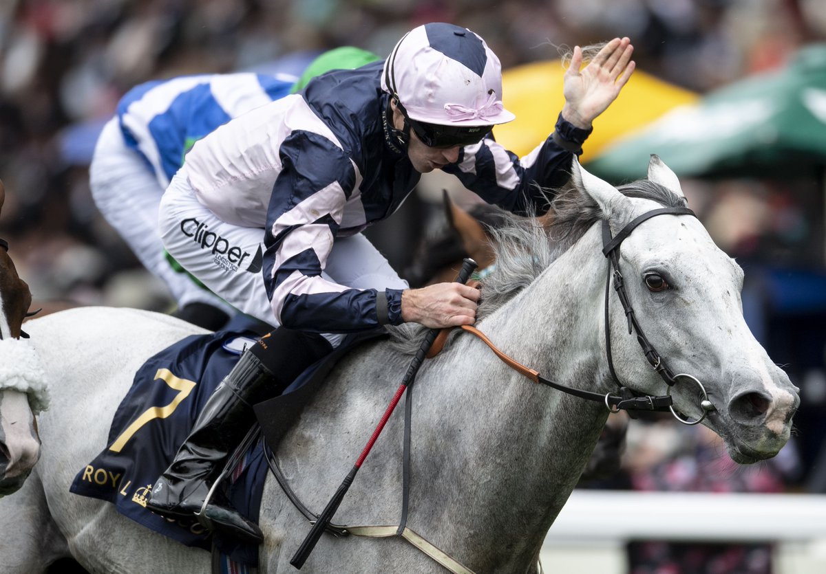 Racing Post tweet media