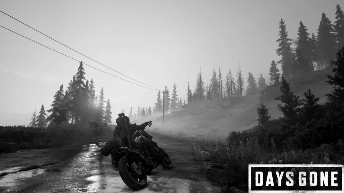Nightsight63's tweet photo. Early mornin' ride B/W
 #DaysGone
 #BendStudio
 #VGPUnite
 #VirtualPhotography
 #ThePhotoMode
 #GamerGram
 #PS4share https://t.co/P90eIIdzbh