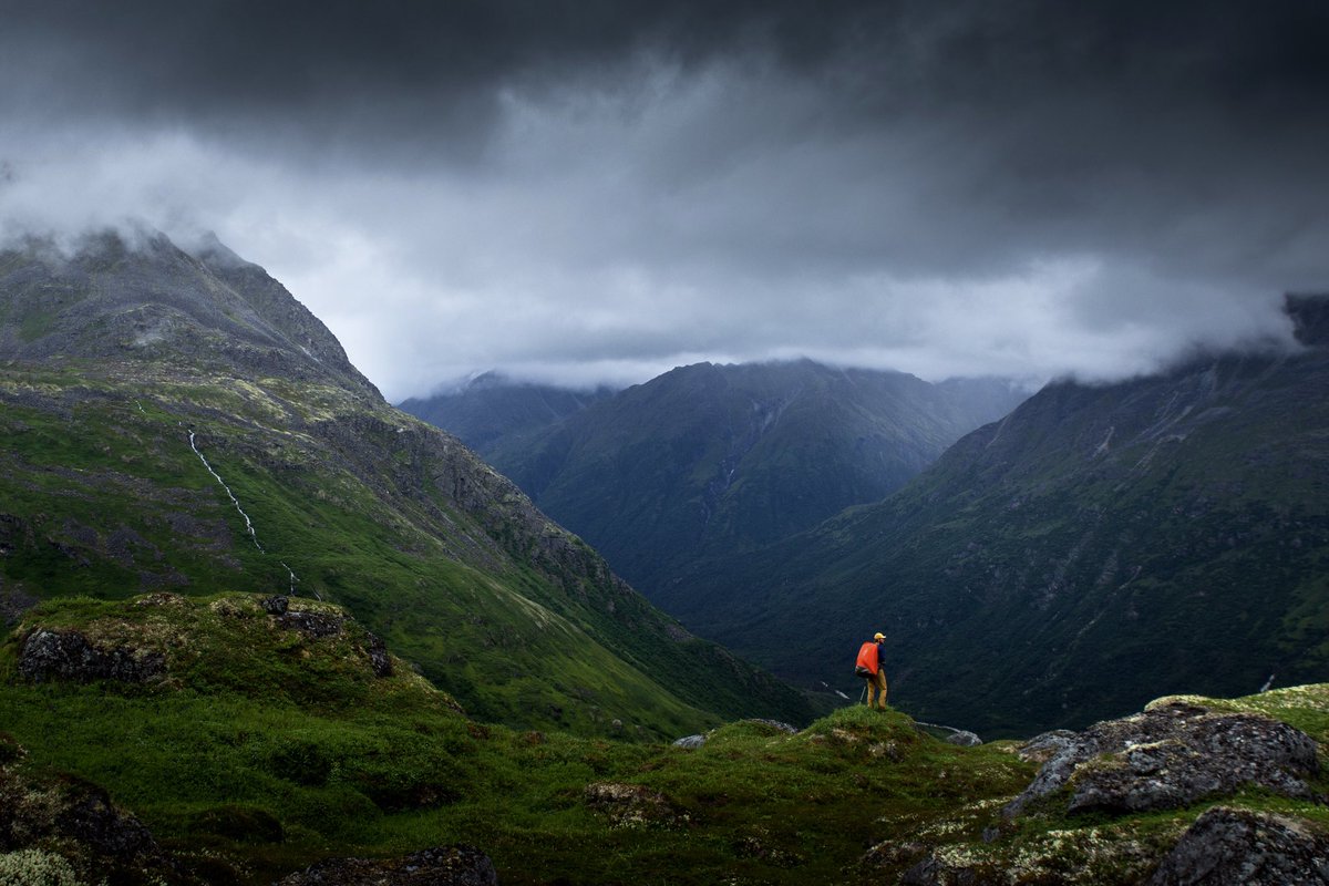 Elliot Hawkey tweet media