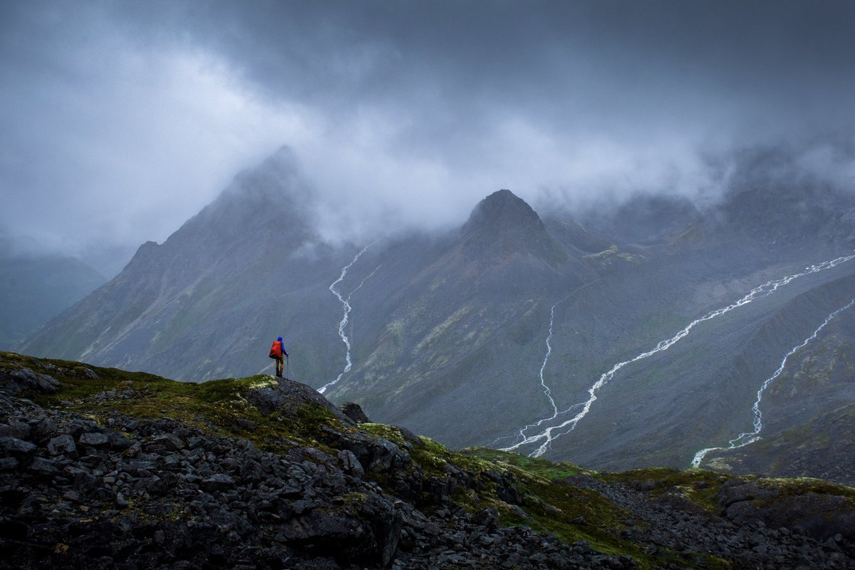 Elliot Hawkey tweet media