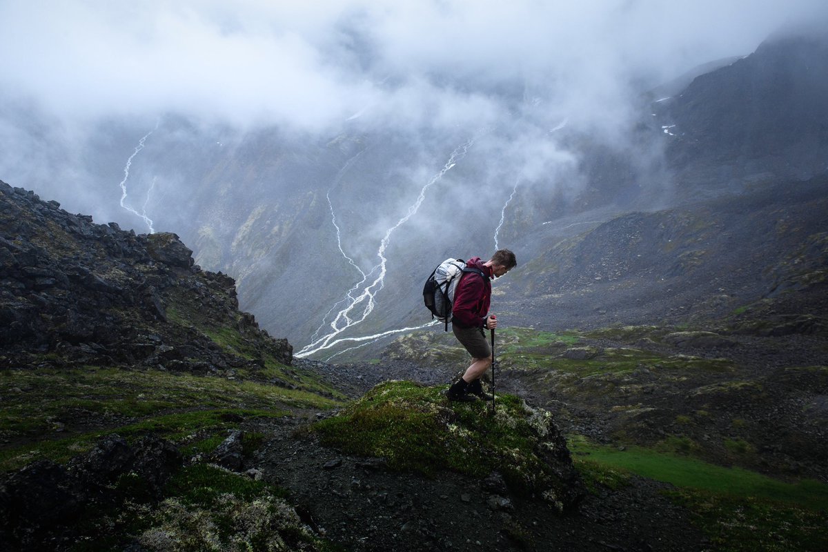 Elliot Hawkey tweet media