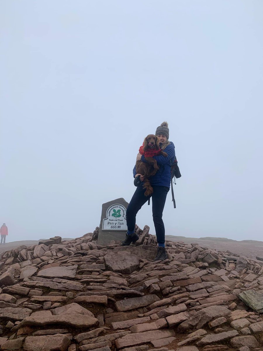 spgalea's tweet photo. After a busy wk of walk the dog-gym-eat-work-study-sleep-repeat, & another boring w/end at home writing an MBA assignment, #DigbyDog🐶/I had to get into the @BreconBeaconsNP #Wales🏴 for a hike🥾 They never fail to impress & I feel so lucky to have this beauty on my doorstep ⛰😍 https://t.co/cNdHE1TrRm