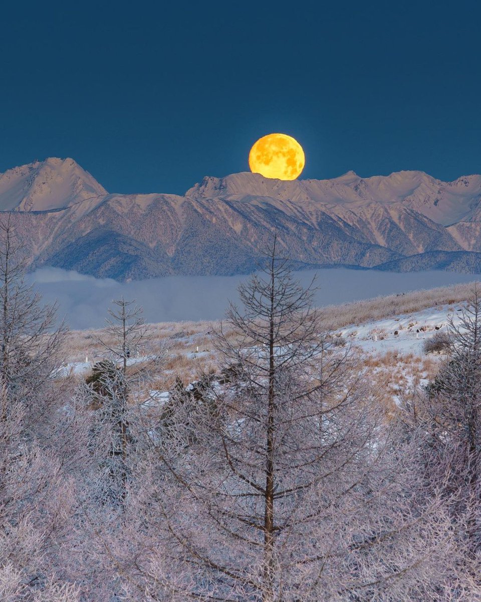 Nagano 🇯🇵
Good Night  🌕