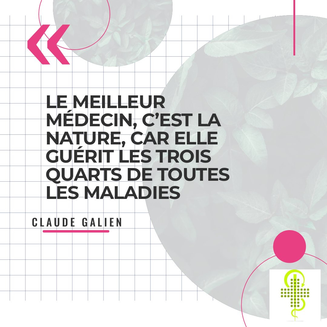 PharmaWantzenau's tweet image. {Citation du jour} 😎

Quand la #nature fait bien les choses...🌿

#médecinedouce #médecinenaturelle