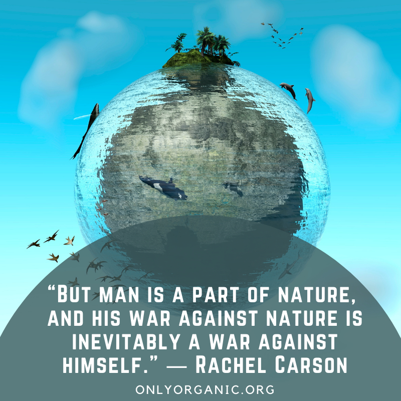 onlyorganic's tweet photo. Happy Earth Month! Organic works in tandem with nature never against it! #loveyourplanet #goorganic #wearenature #goorganicfortheplanet #regeneratethesoil #onecommunity #oneplanet #protectnature #naturelovers #lovetheearth #ecofriendly #earthminded #climatecrisis https://t.co/OSLbKZ4cvc
