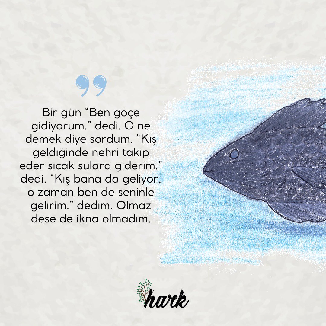 HarkDergi's tweet photo. Hüseyin Bircan’ın yazdığı Siyah Pullu Balık Merve Çeliktaş’ın çizimi ve tüm heyecanıyla Hark 16’da sizlerle. https://t.co/jCgOfNzL5K