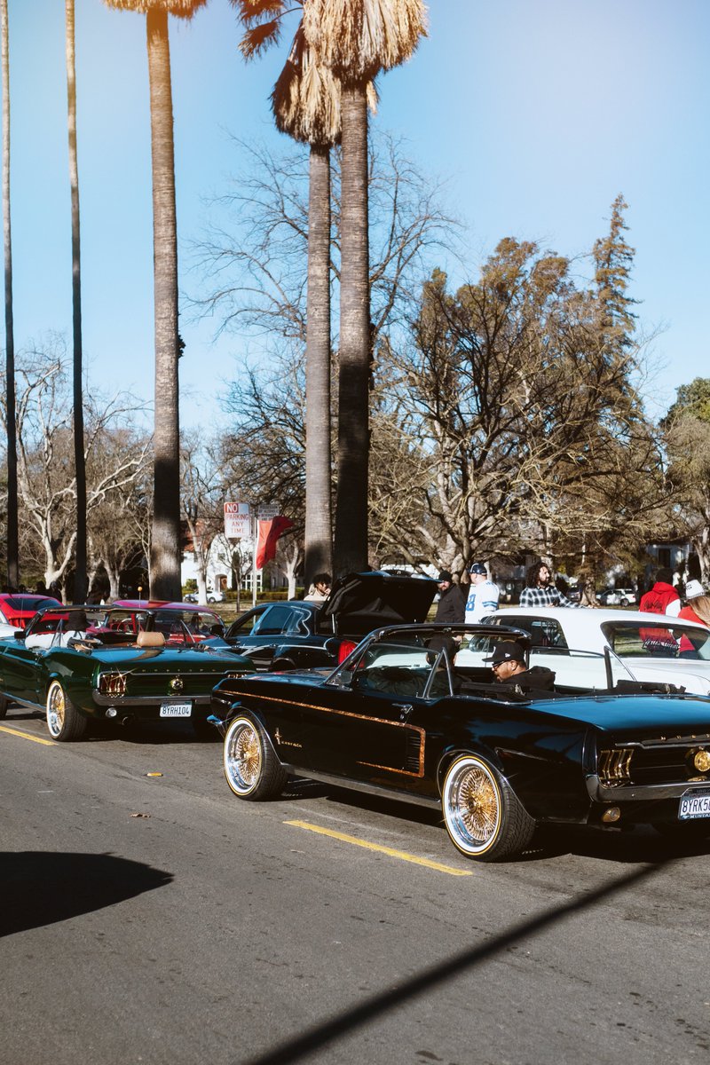 alexviisuals's tweet photo. Showroom Sunday 🏁 https://t.co/P1TX1VO4ir