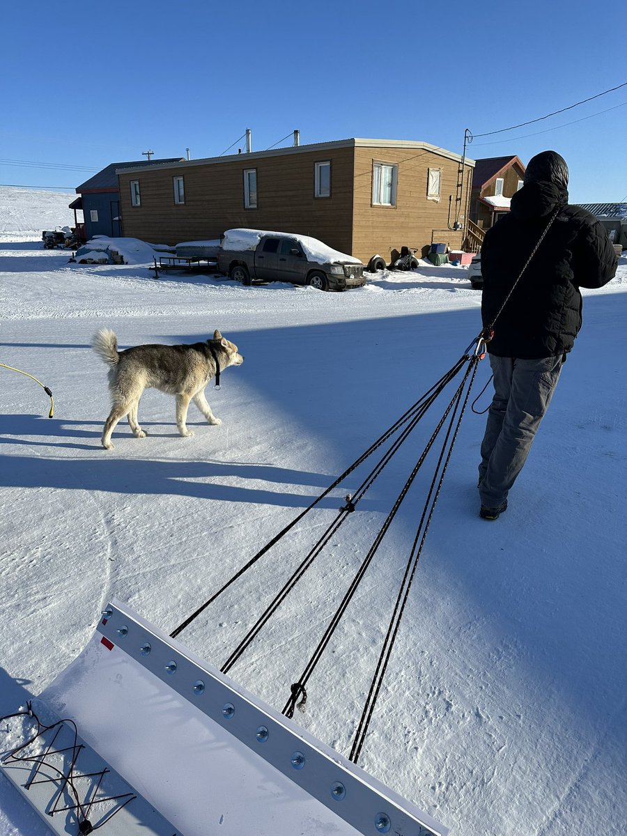 MinesGlaciology's tweet photo. That’s a wrap for @grumplesiggy in Tuk. @MinesGeophysics post-grad Venezia takes over for week three, with former @coschoolofmines faculty, now at @UofT, Andrei Swidinsky joining her. #pingostarr https://t.co/xQOvkCsFFp
