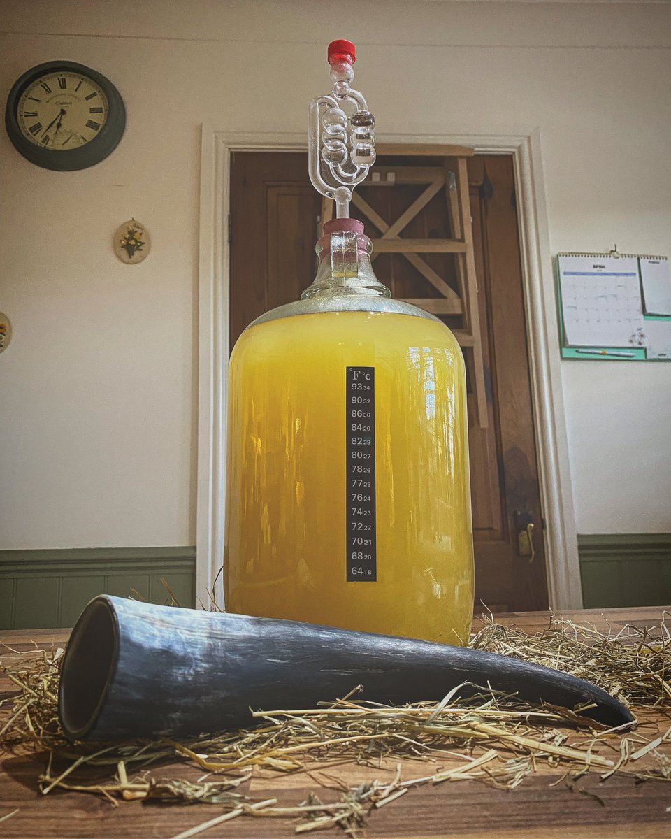 FrazerGrainger's tweet photo. Me and Kim are brewing traditional Viking Mead. Skol!🍯🗡️
#Mead #Homebrew https://t.co/5hNZ102npN