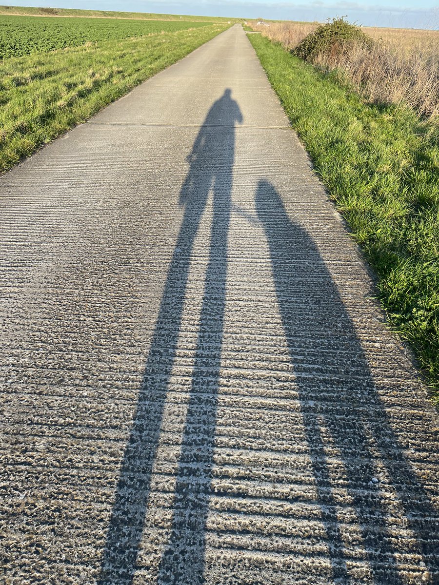 TillyandNancy's tweet photo. Walking Tilly on the road to the local reserve. So nice to have a bright sunny evening with long shadows for a change. #DogsOfTwitter #springevenings #labradors #shadows https://t.co/aVFRZDH52J