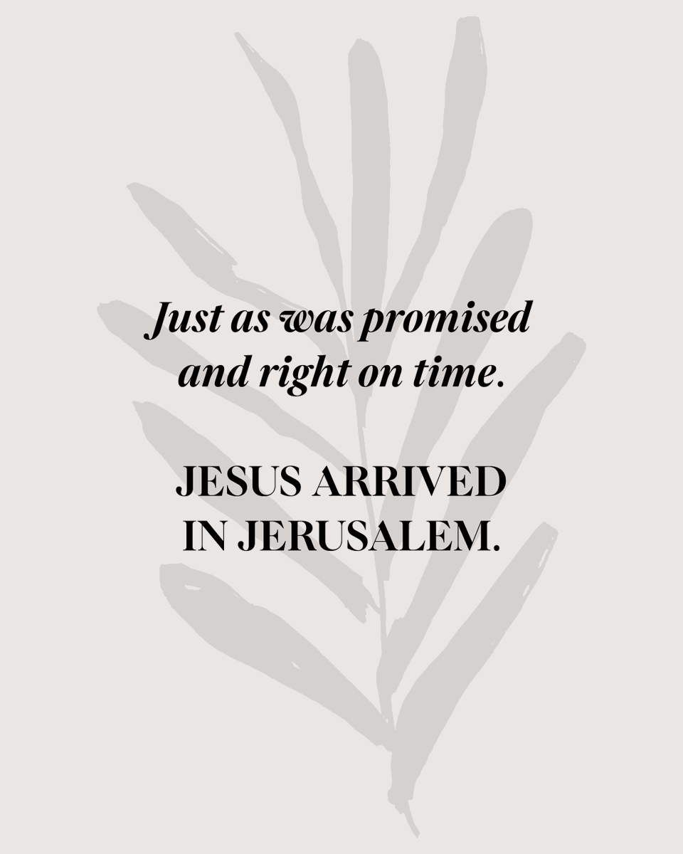 ChristineCaine's tweet photo. #PalmSunday – the day of Jesus’ triumphal arrival in Jerusalem – is something to celebrate. Jesus came to deliver us – to save us. He is King of kings, Lord of lords, the fulfillment of the long-awaited promises of God. And we know… God always keeps his promises. 💛 https://t.co/iA9VCCl6ra