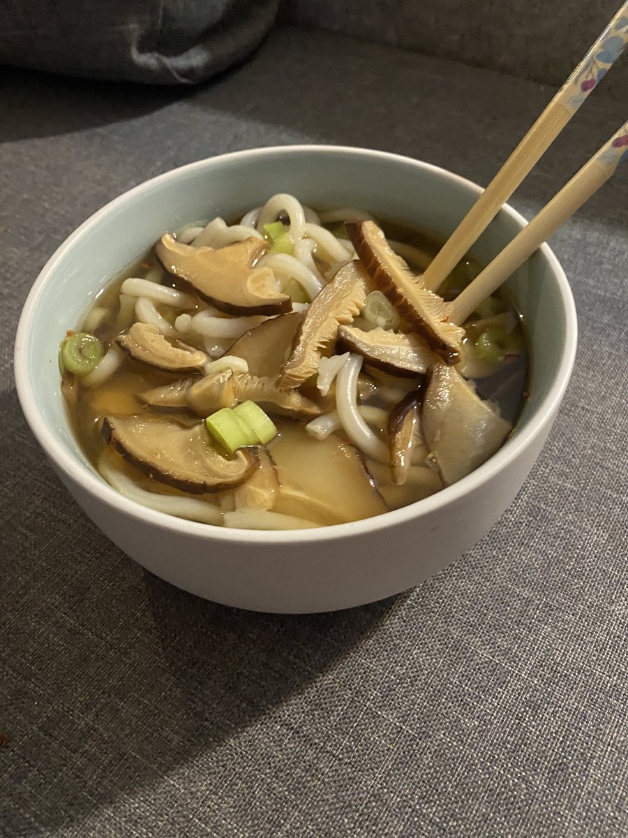 Udon med nok dashi og mirin til å skremme bort en medium stor flodhest!