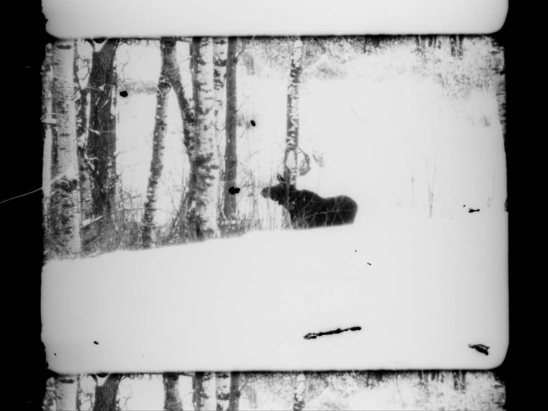 FrameDiscreet's tweet image. Recent work by Kathleen Edwards
Timed &amp;amp; Flat versions
16MM Black &amp;amp; White Film
vimeo.com/kjedwards
eekathl