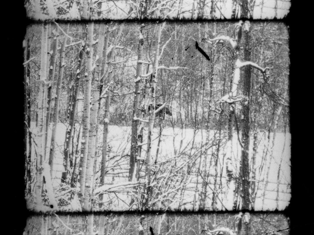 FrameDiscreet's tweet image. Recent work by Kathleen Edwards
Timed &amp;amp; Flat versions
16MM Black &amp;amp; White Film
vimeo.com/kjedwards
eekathl