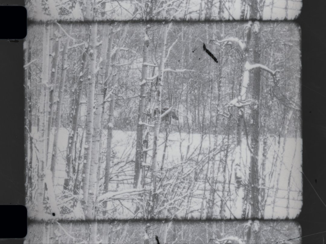 FrameDiscreet's tweet image. Recent work by Kathleen Edwards
Timed &amp;amp; Flat versions
16MM Black &amp;amp; White Film
vimeo.com/kjedwards
eekathl