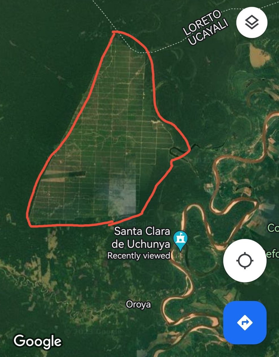 Esto no son prácticas sostenibles. La deforestación de miles d hectáreas de bosque amazónico para cultivo de palma implica: destrucción de ecosistemas, emisiones de reservas de CO2 y el desplazamiento de pueblos indígenas, vulnerando sus derechos territoriales.