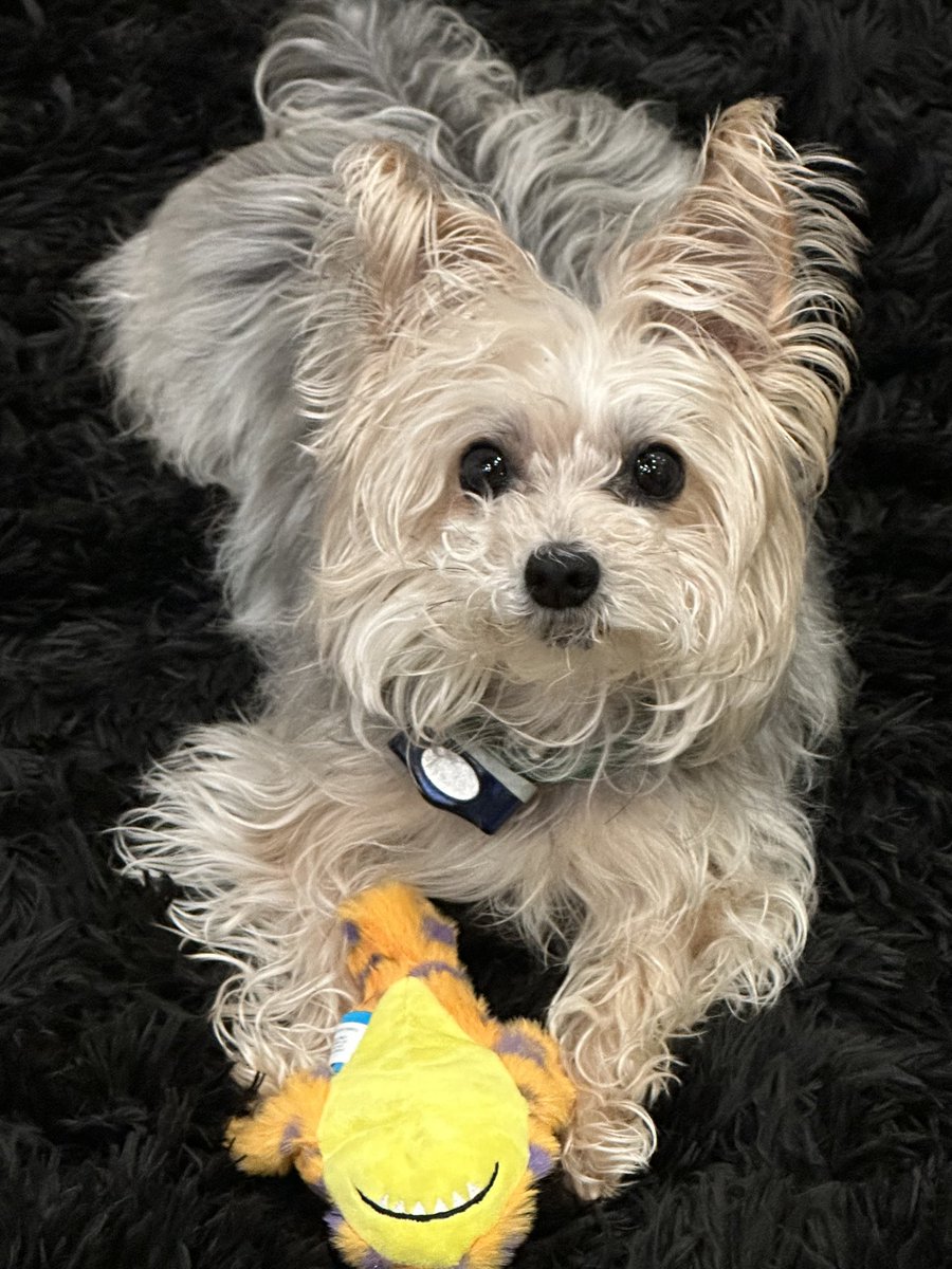 Mike Portnoy 🤘 tweet media