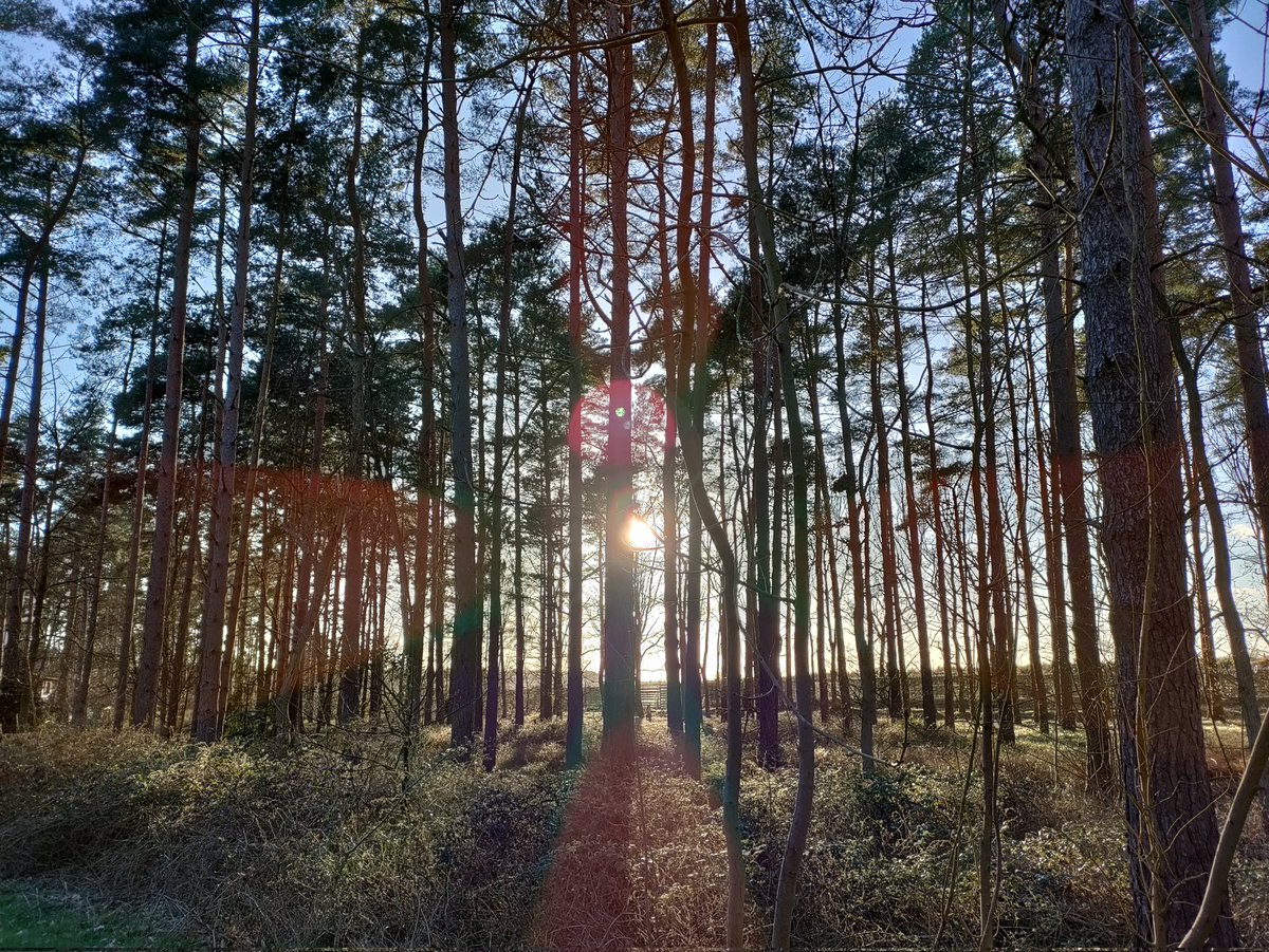 RunTheWorld180's tweet photo. Just three weeks until I do the @LondonMarathon virtually in aid of @airambulancekss and it's been lovely to get some training in here at @CenterParcsUK - what a stunning setting. So today is run streak Day 2284 and that's now 17,928km ticked off. #RunTheWorldChallenge #ukrunchat https://t.co/8Pf6wcT25c