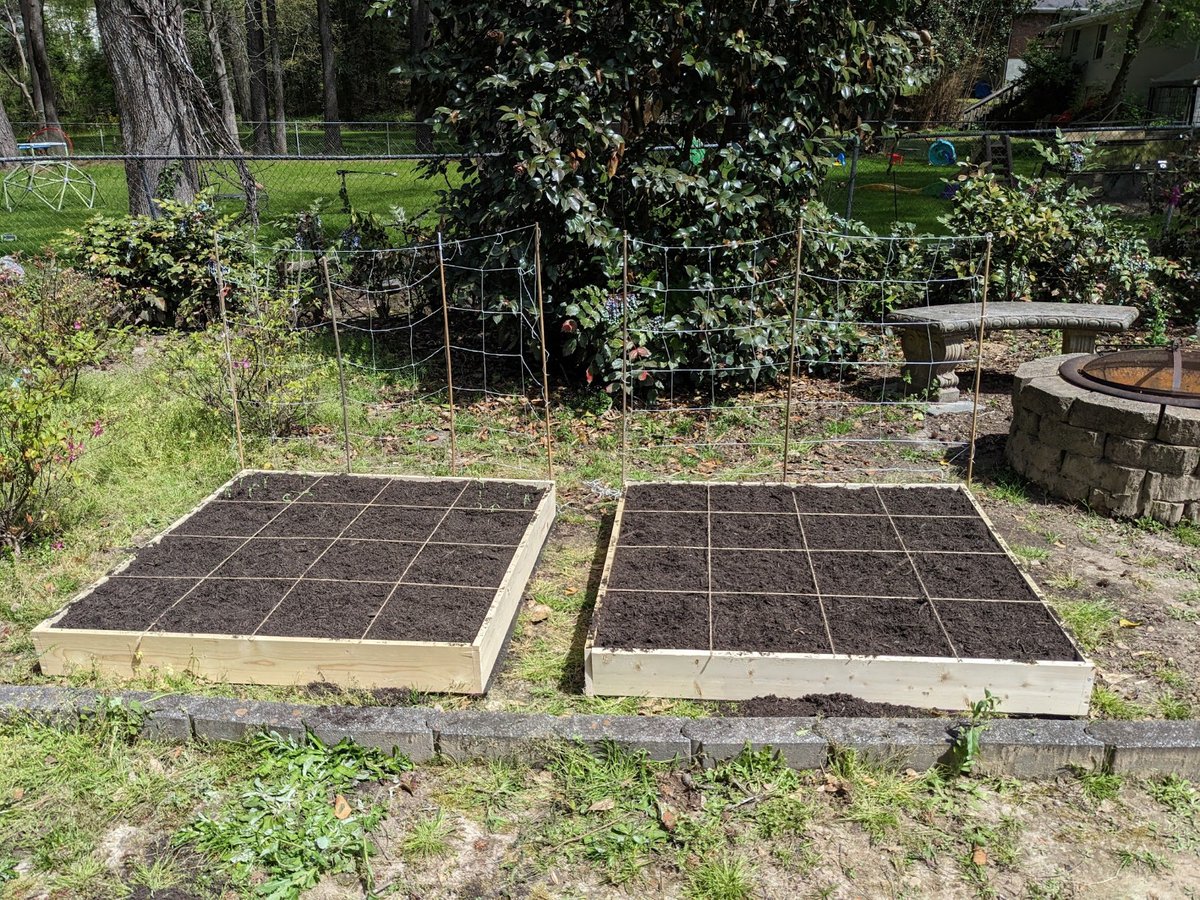 Logan Ward tweet media