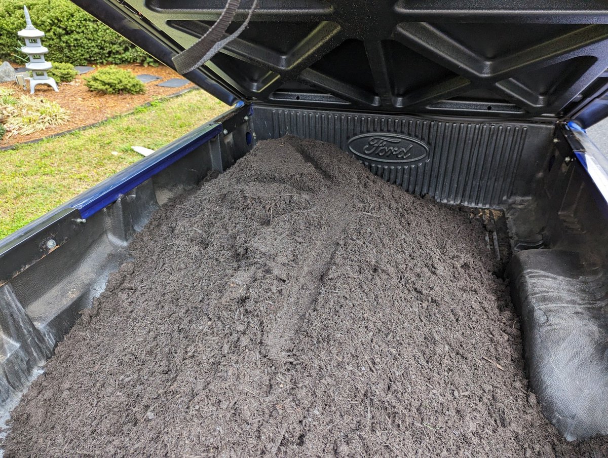 Logan Ward tweet media