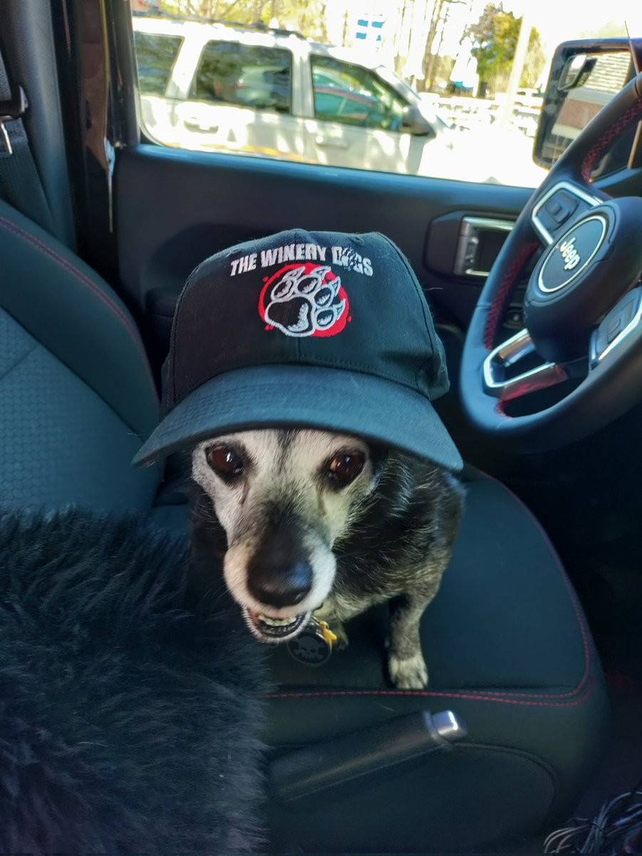 Michele S. Kelly tweet media