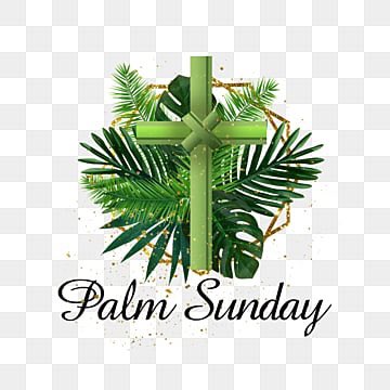 It’s PALM SUNDAY. 🌿

Why Do Christians Celebrate Palm Sunday? What Makes it Important?

christianity.com/wiki/holidays/…