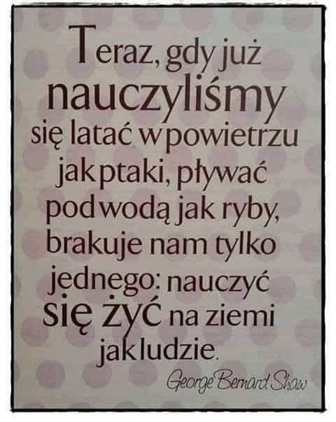 Edi El Niño Phayny tweet media