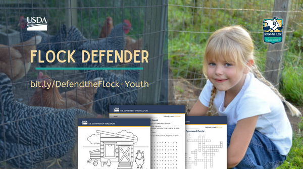Defend_theFlock's tweet photo. Learning about biosecurity can be fun! The #FlockDefender educational materials for youth from @USDA_APHIS include puzzles and games to help them learn how to keep their poultry healthy. Visit https://t.co/JC90ul3grd #DefendtheFlock https://t.co/PRdgjE2zK6