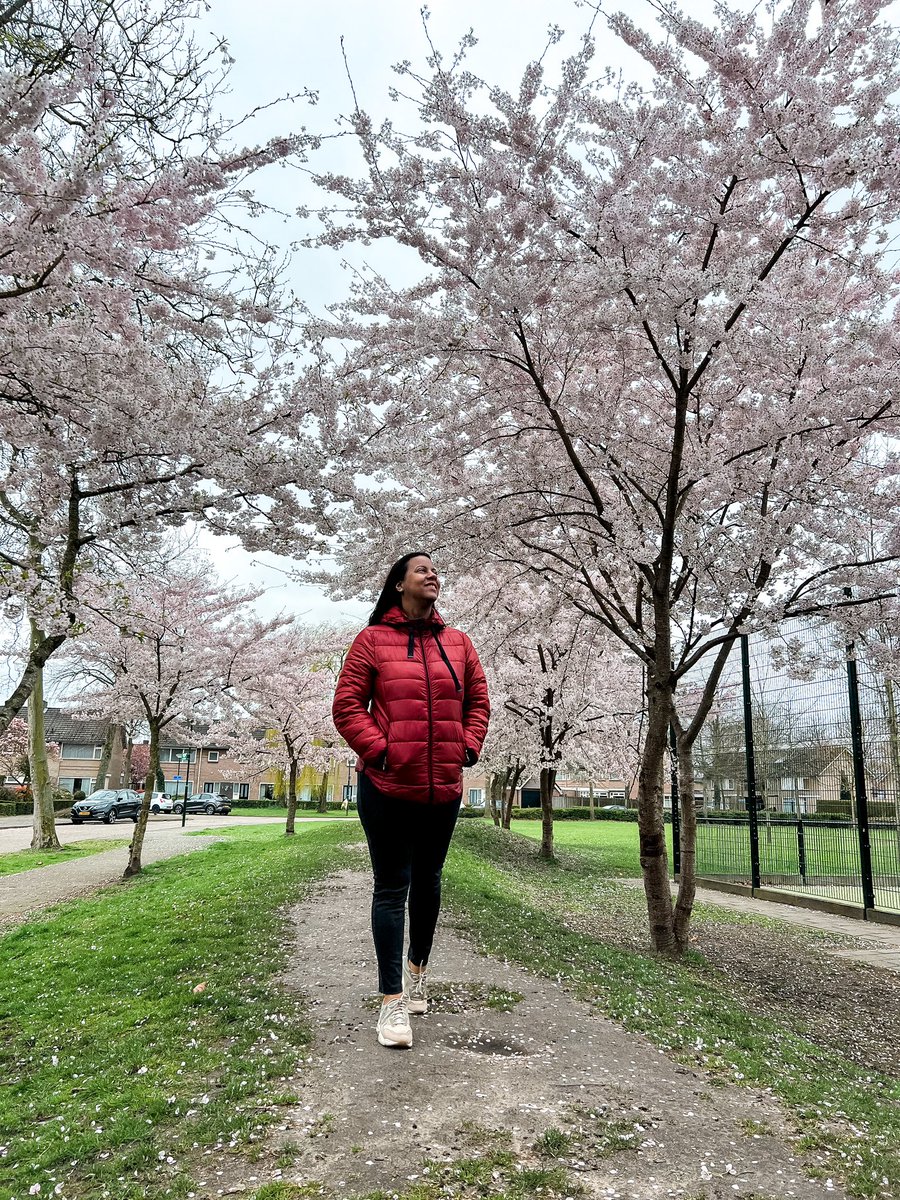 Finalmente tomando un poco de vitamina D. #dutchweather #lospaisesbajos #Primavera2023