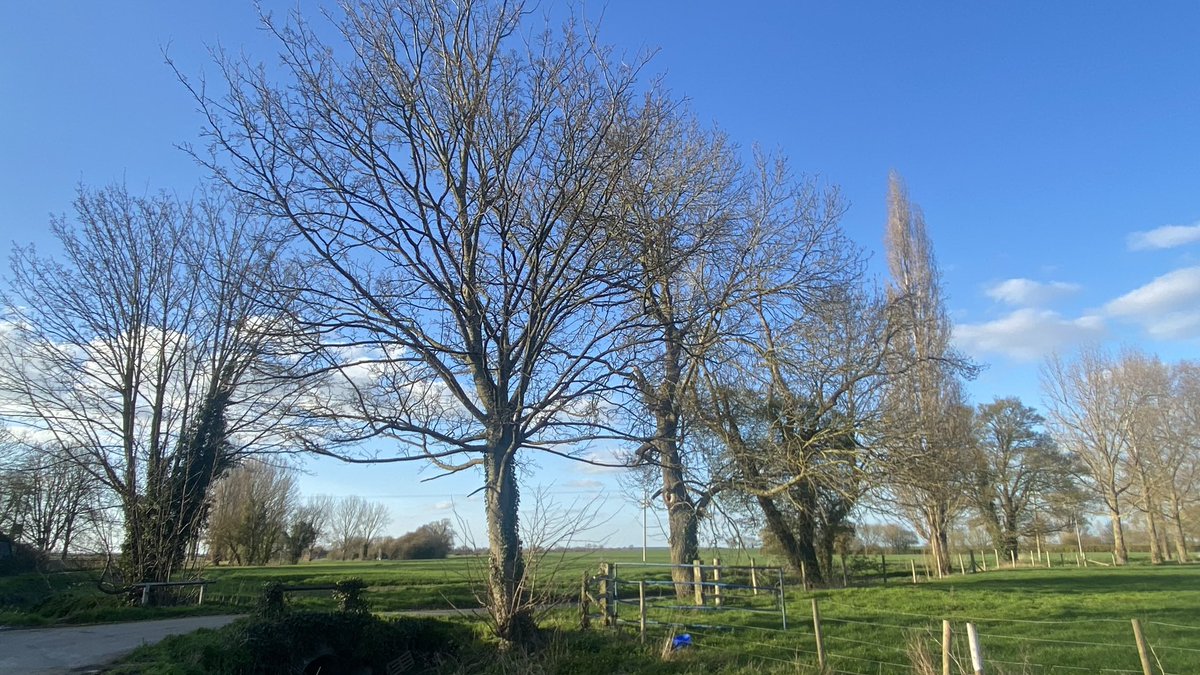 lcmporter's tweet photo. And breathe. #countryrun #marathontraining https://t.co/Bi8jbJkxL5