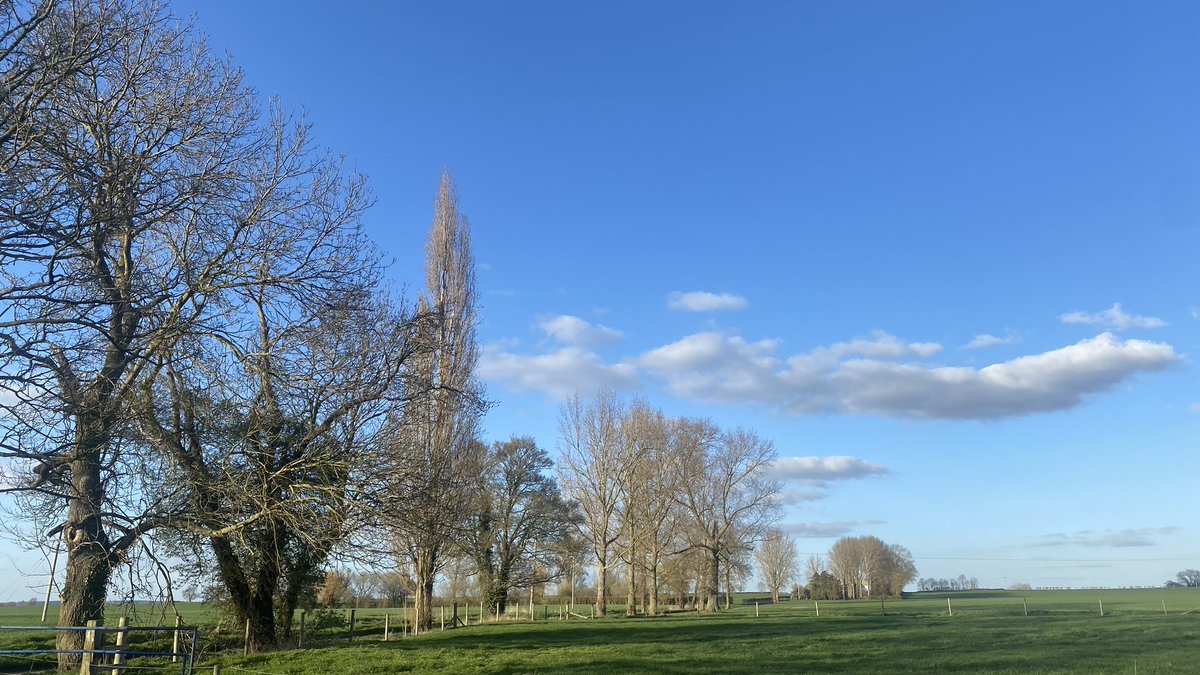 lcmporter's tweet photo. And breathe. #countryrun #marathontraining https://t.co/Bi8jbJkxL5