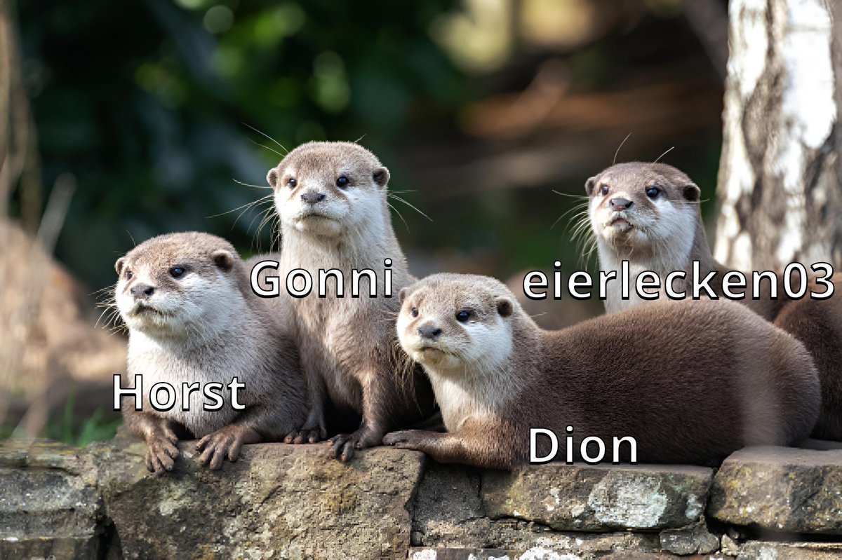 STFU OTTER COLLAB JUST DROPPED 🗣️🔥💯