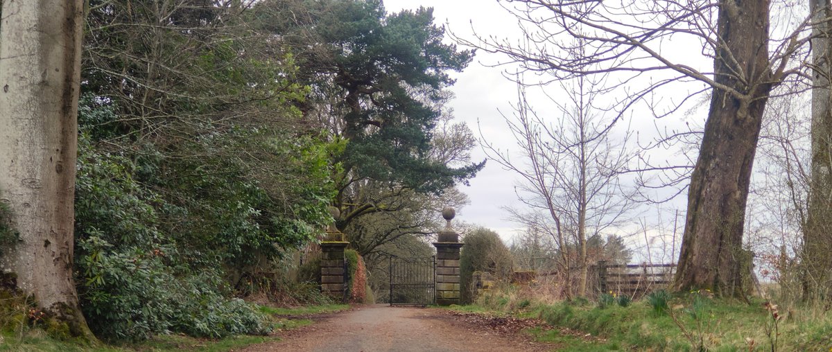 Hazel (Munn) Atkinson tweet media