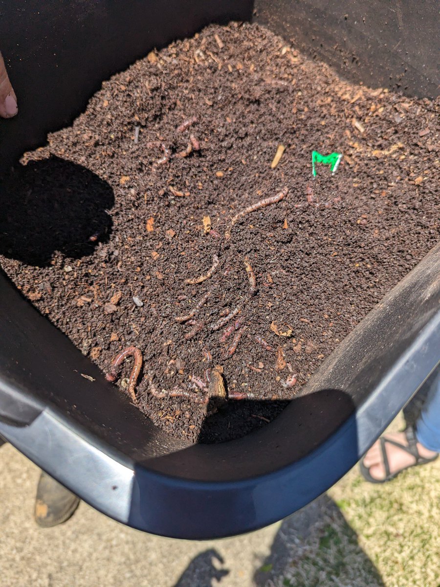 Some snaps of the urban farming field trip this afternoon! Perfect weather to end our conference weekend 🌞🫶