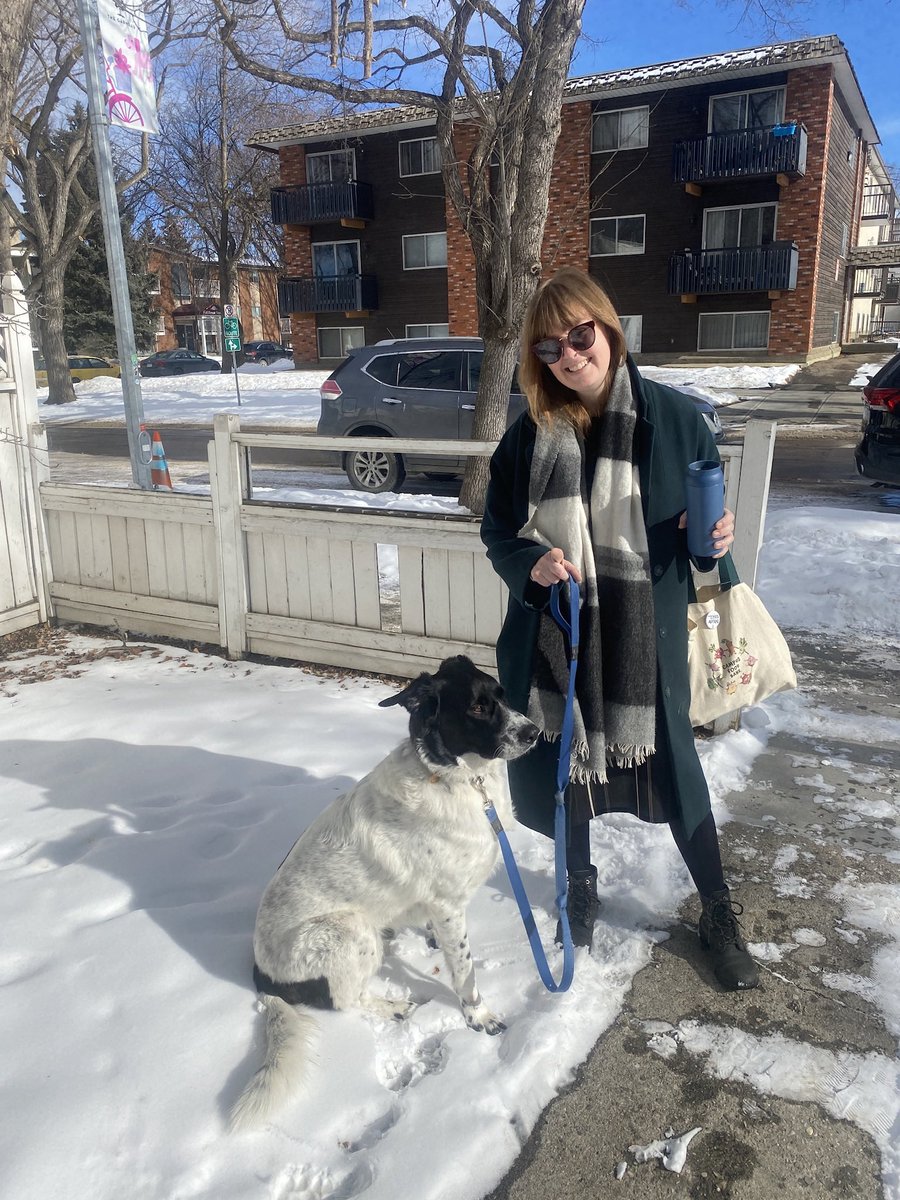 Orphaned Welles tweet media