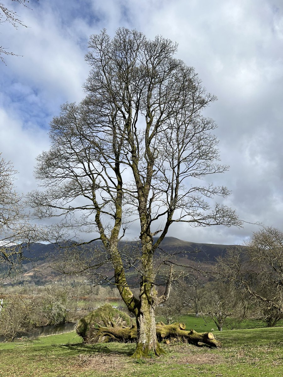 BobS_MPC's tweet photo. These are the views two minutes from the front and rear of Derwent Hill our venue for the Singing In… the Lakes singing weekends. Here’s looking forward to doing it all again in September. Why not join us? You will love it... Details on the attached postcard. https://t.co/iTd9ttPiA2