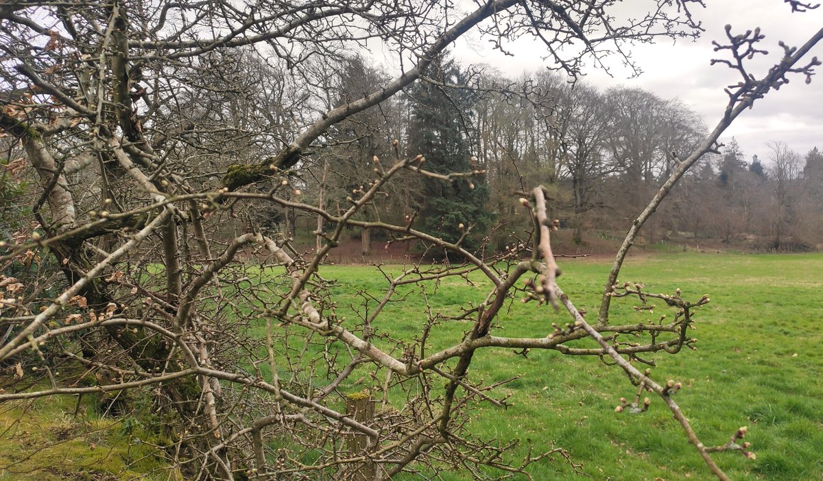 Hazel (Munn) Atkinson tweet media