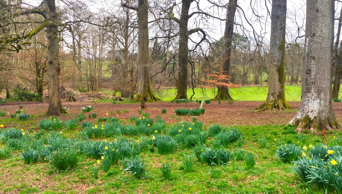 Hazel (Munn) Atkinson tweet media