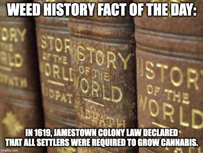 Cobra Extracts tweet media