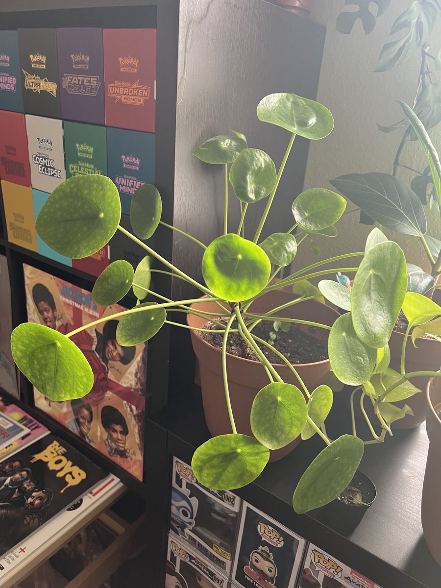 Donte Jackson tweet media