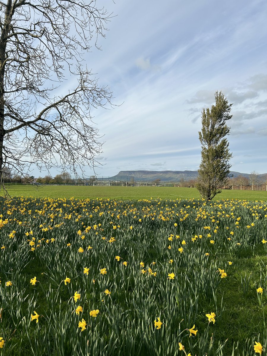Perfect evening for a walk in the park ❤️ <a href="/sligorovers/">Sligo Rovers</a> #50kmChallenge So grateful for all the support idonate.ie/fundraiser/Dei…