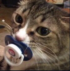forpantora's tweet photo. / weow https://t.co/RJpEMcd1ey