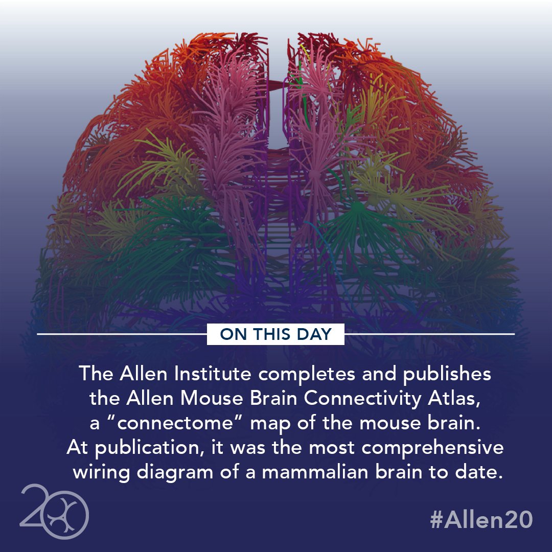 On this day in 2014, we published the Allen Mouse Brain Connectivity Atlas, the first comprehensive, large-scale data set on how the brain of a mammal is wired. #Allen20

Learn more: reuters.com/article/us-sci…

#NeuroTwitter