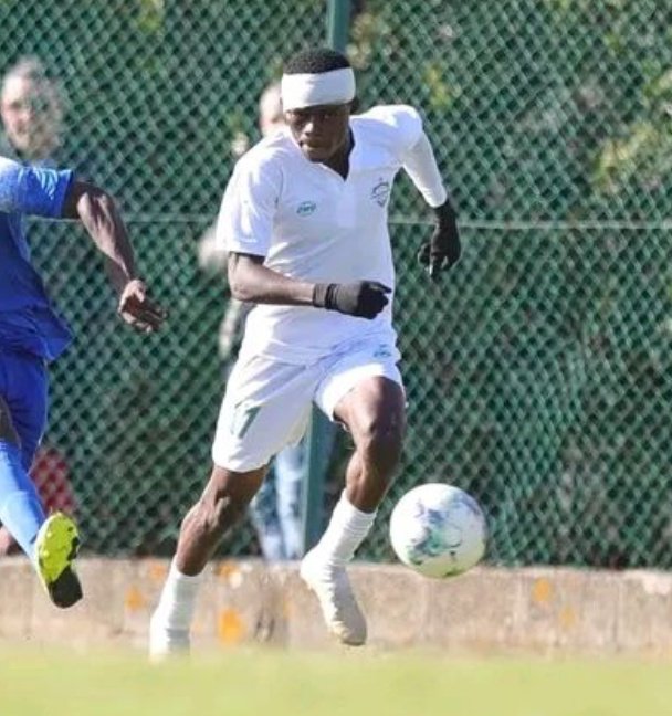 Scout Africa - Uroš tweet media