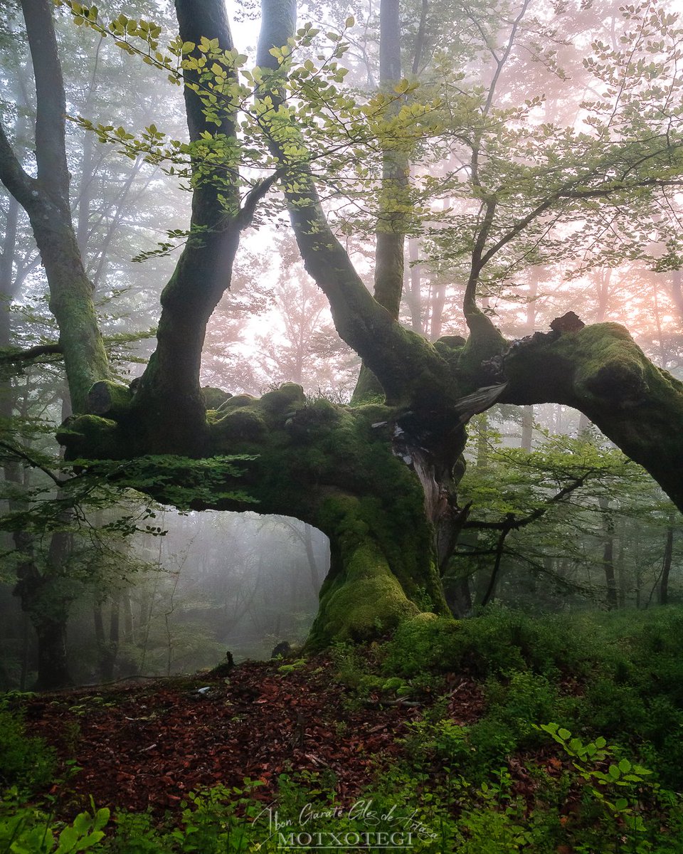 Otxandio, Bizkaia. 
#euskalherria