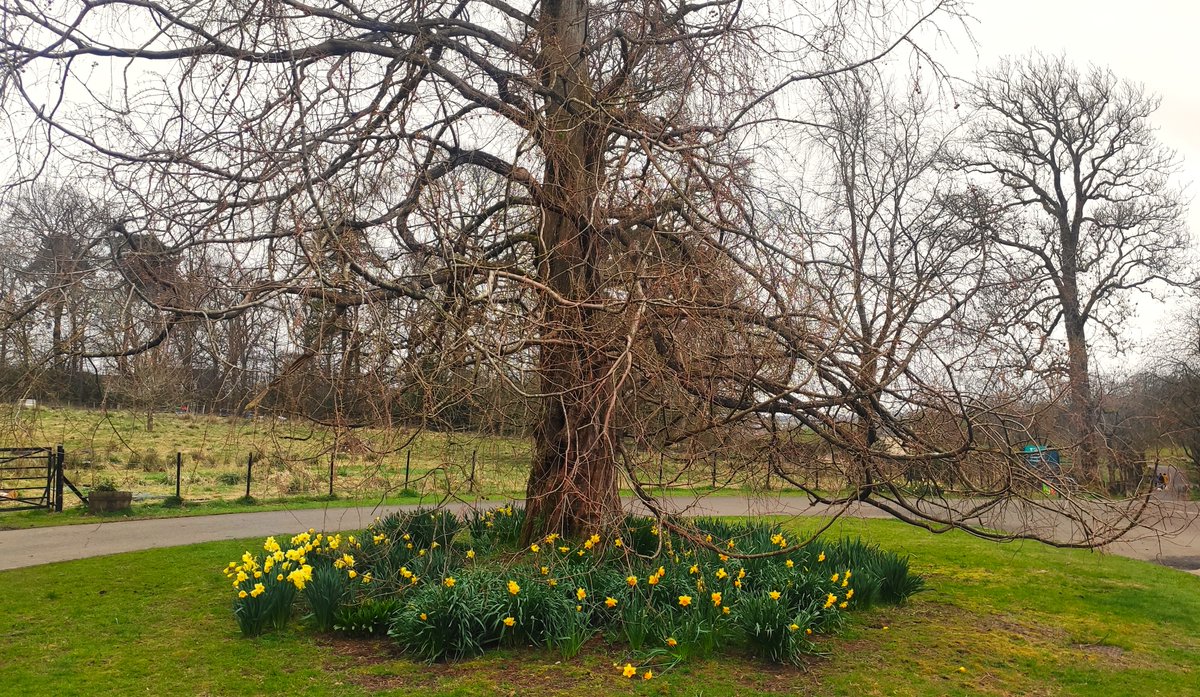 Hazel (Munn) Atkinson tweet media